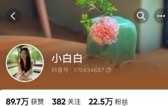 抖音 22 万粉美女网红 小白白 拍给金主