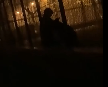 网友偷拍 大连海事大学 小情侣夜晚网球场 光与影完美结合！