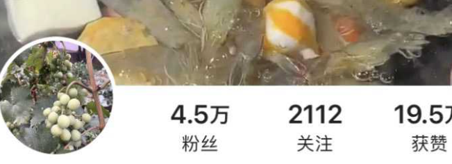 快手高颜值网红旺仔旺旺旺 定制拍流出 纤细身材性感美腿